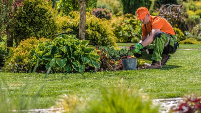 Miniatura post Terceirização Profissional de Jardinagem Grupo Big Quality