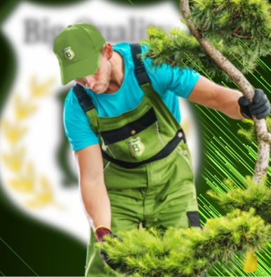 Terceirização de Jardinagem Grupo Big Quality